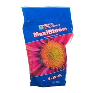 Maxi Bloom