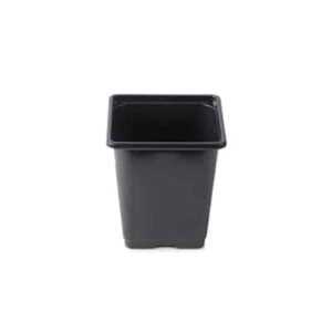 square pot • ოთხკუთხედი ქოთანი