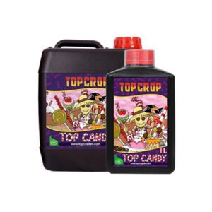 TOP CANDY