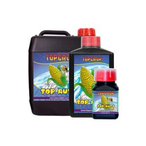TOP AUTO