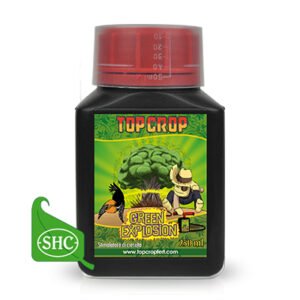 Green explosion 250ml