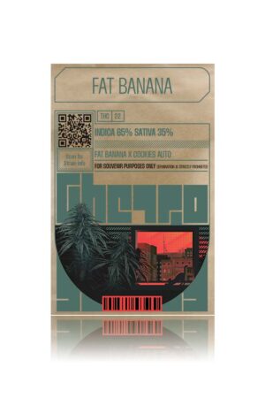 Ghetto's fat banana -autoflowering cannabis seed