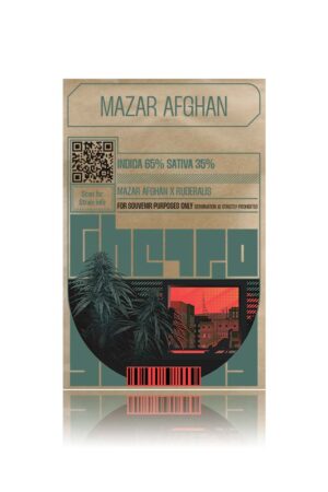 Mazar Afghan Ghetto's autoflowering seed