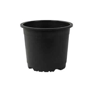 პლასტმასის ქოთანი • Plastic Pot