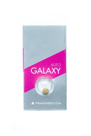 GALAXY AUTO