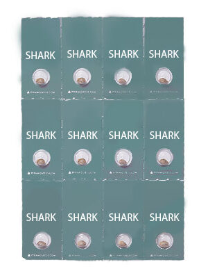 SHARK feminized seed