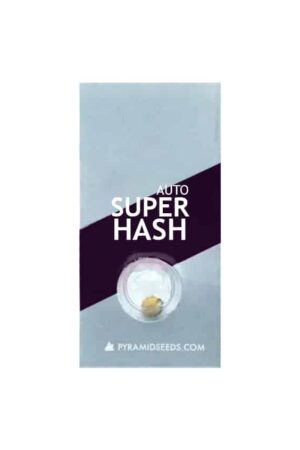 SUPER HASH AUTO