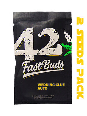 Wedding Glue Auto 2 სიდი