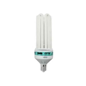 bulb