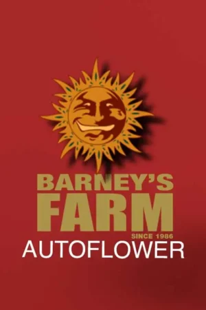 BARNEY'S FARM AUTOFLOWER