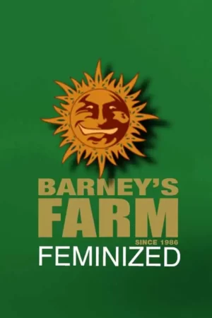 BARNEY'S FARM FEMINIZED
