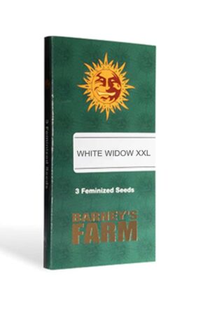 WHITE WIDOW XXL from Barney's farm