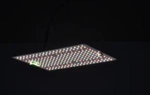 og led 100w