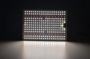 og led 100w