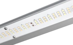GLWP 600W OG^LED