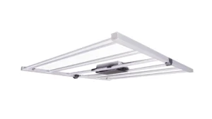 GLWP 600W OG^LED
