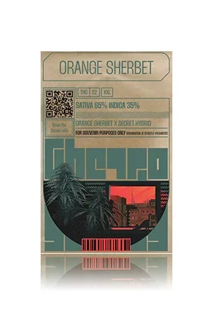 orange sherbert