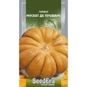 გოგრის თესლი “პროვანსის მუსკატი”