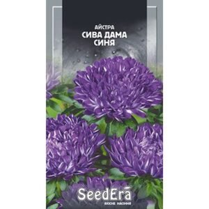 Astra “Grey Lady Blue”