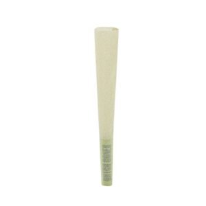 DT02D-DIS-2