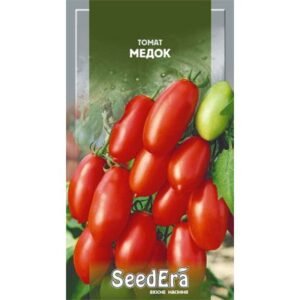 Tomato “Medoc”