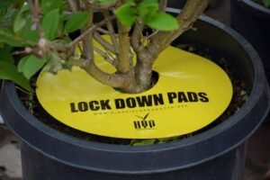 HYP Lockdown Pads