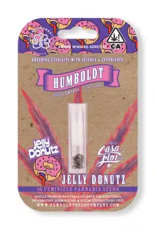 jelly donutz