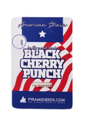 black cherry punch