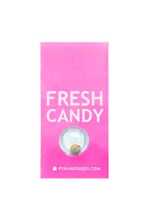 fresh candy