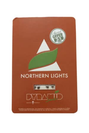 northern lights 3+1