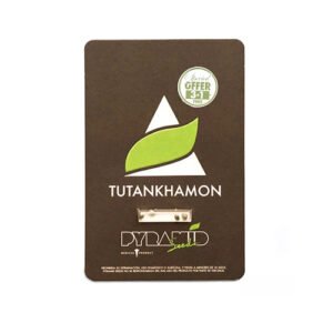 Tutankhamon ∆ FEM * 3+1 SPETIAL OFFER! *
