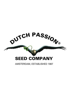 Dutch Passion