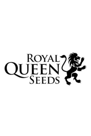 Royal Queen Seeds