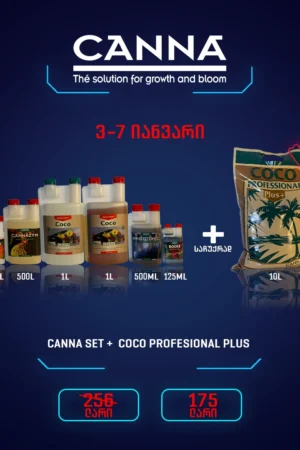 Canna set coco