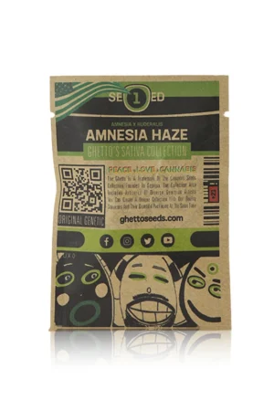 AMNESIA HAZE