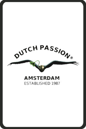 Dutch Passion