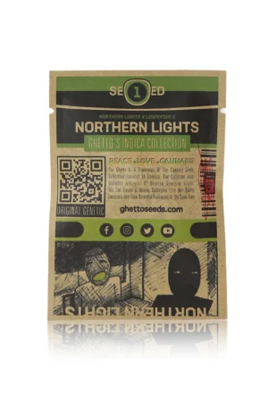 northern lights