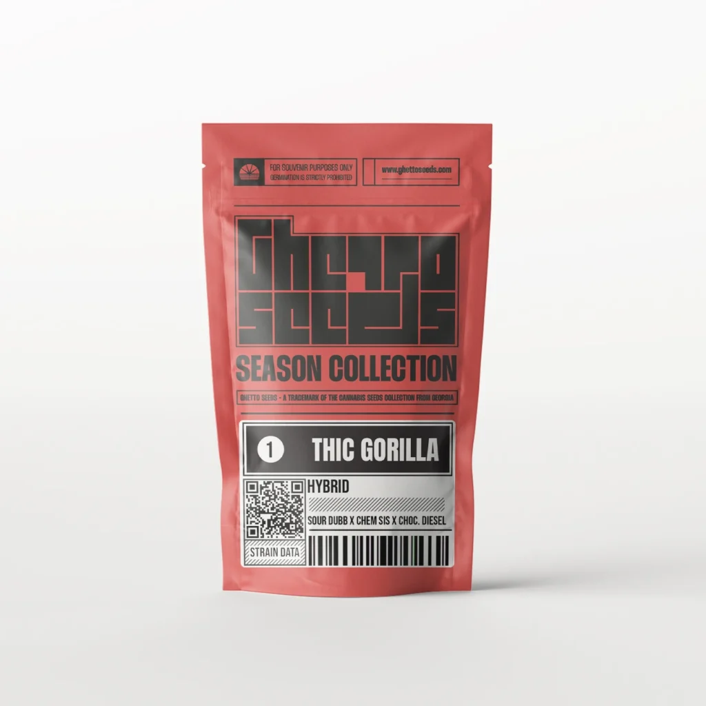 Thic Gorilla Feminized Ghetto 2025 collection