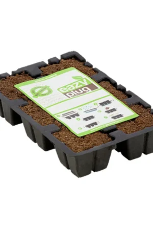 საჩითილე 6ც