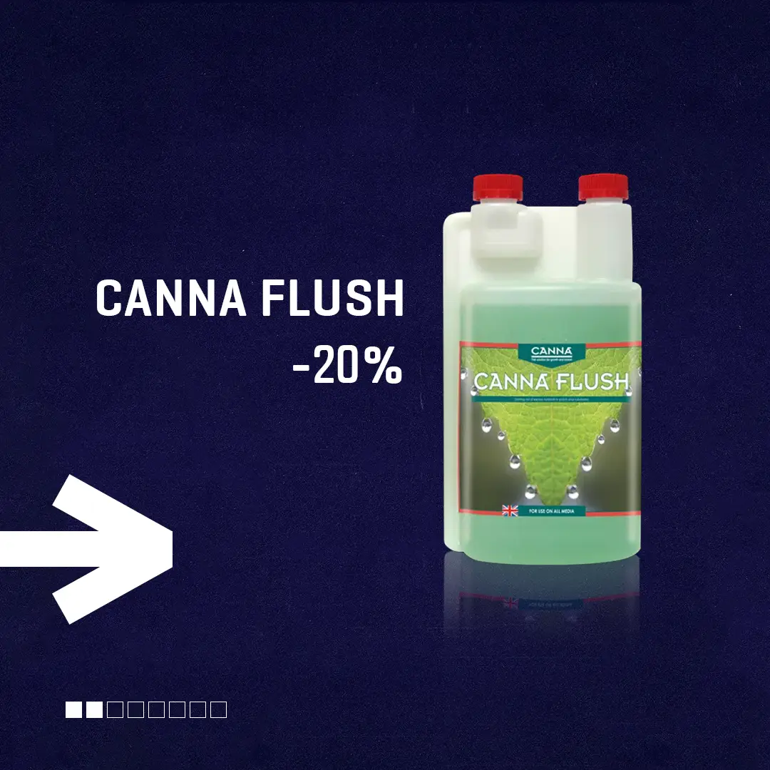 slider image #2 growlab.ge showing active information
