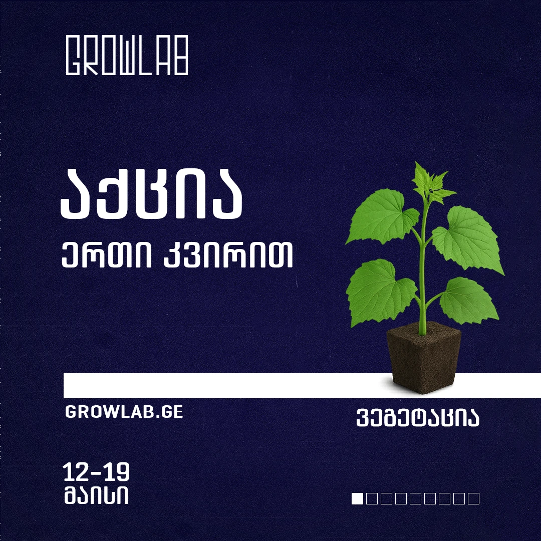 slider image #2 growlab.ge showing active information