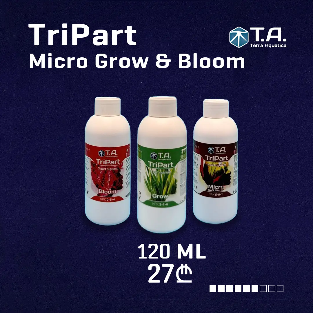 slider image #2 growlab.ge showing active information