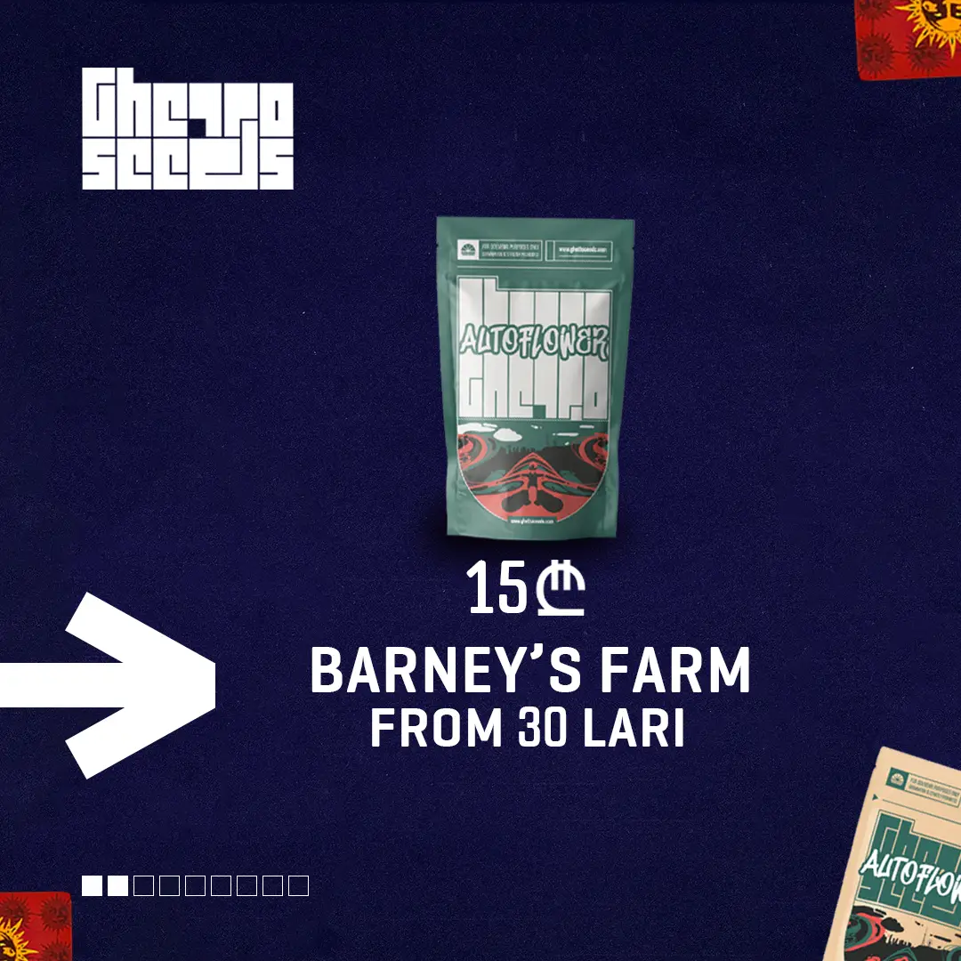 slider image #2 growlab.ge showing active information