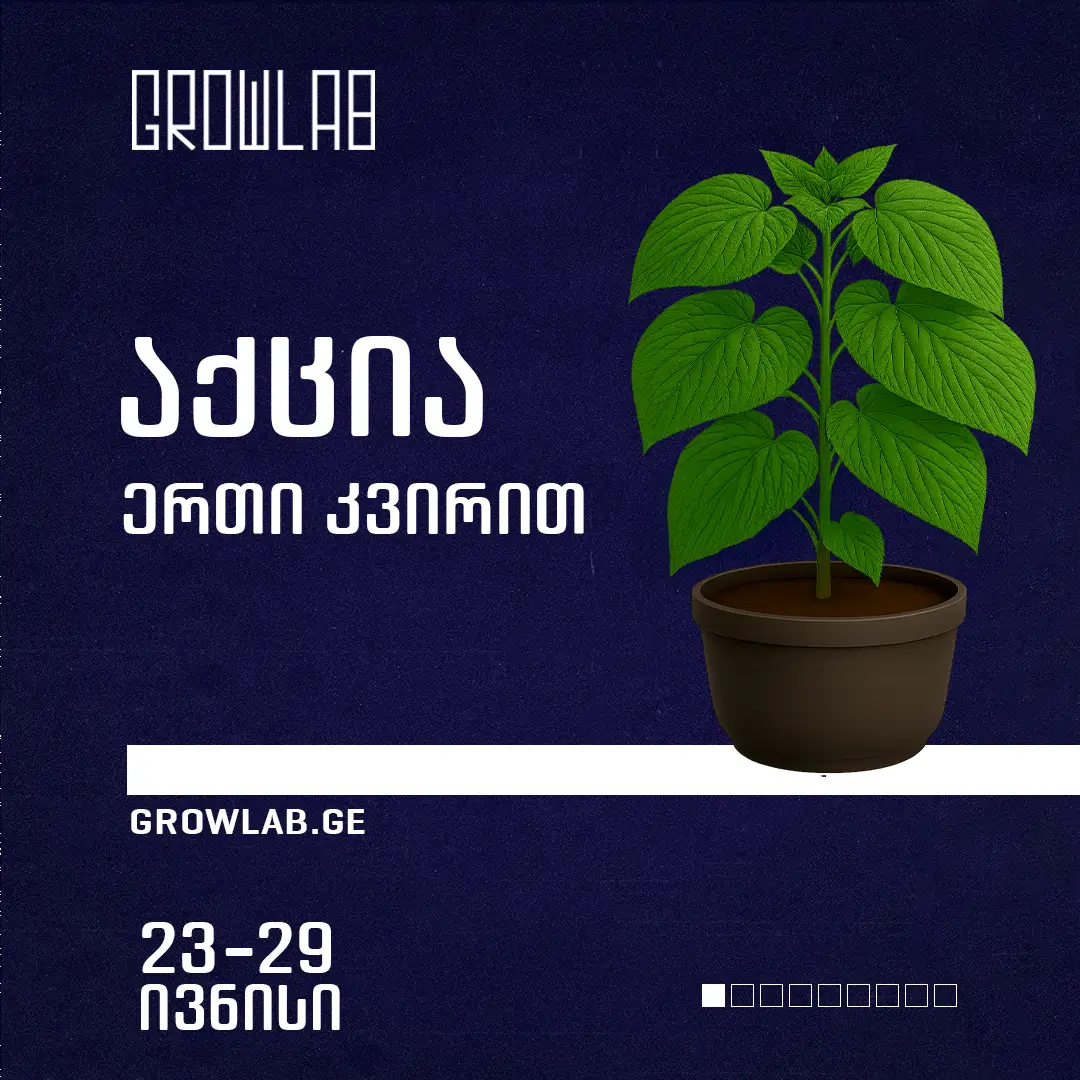 slider image #2 growlab.ge showing active information