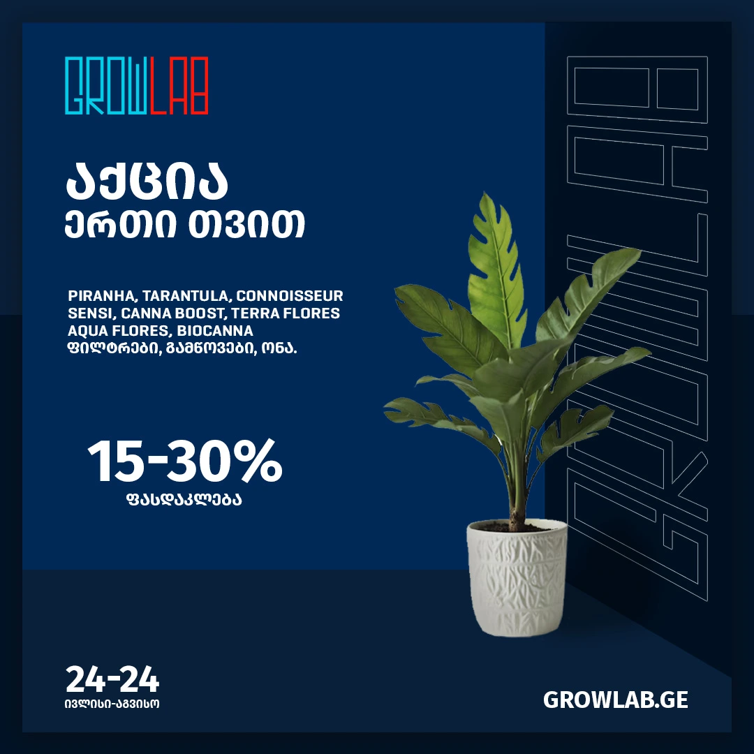 slider image #2 growlab.ge showing active information