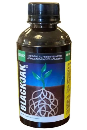 BLACKJAK - ბლექჯეკი