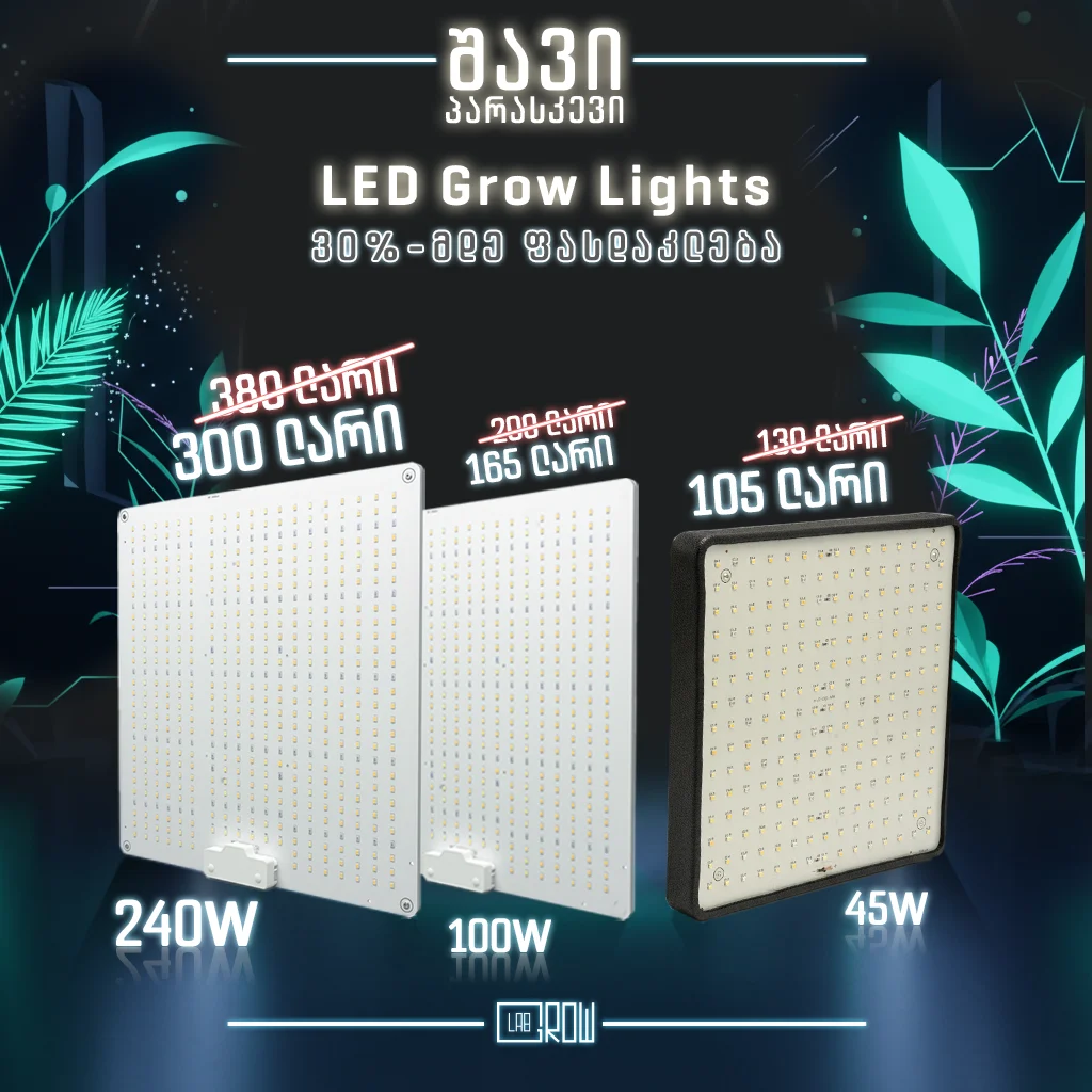 slider image #2 growlab.ge showing active information