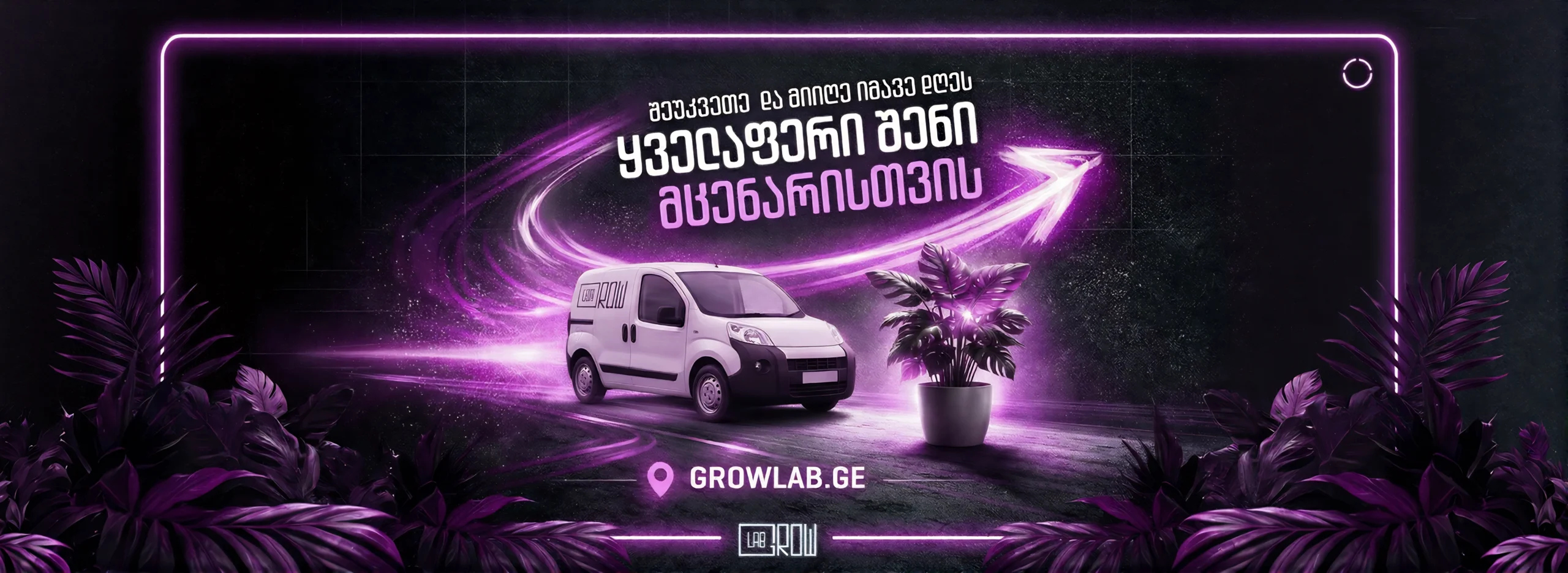 სასუქები