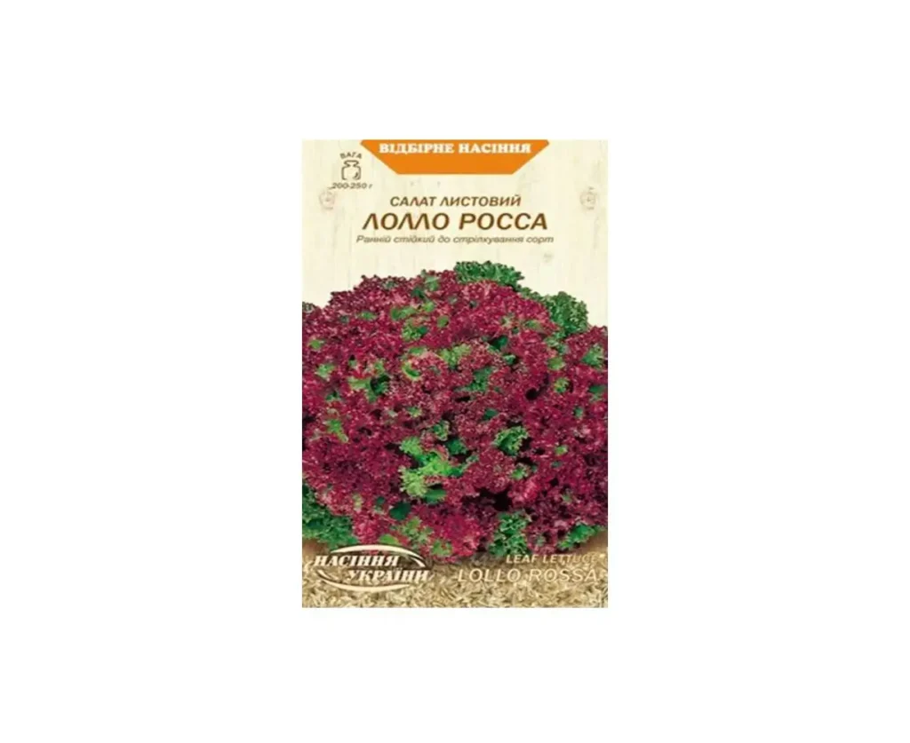Lettuce seeds LOLLO ROSSA