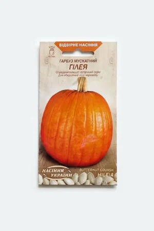 გოგრის თესლი  GILEIAОВ